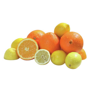 Professionell citruspress Joy