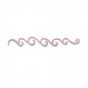 Set med 5 dekorationsmunstycken - Märke HENDI - Fourniresto