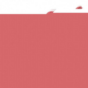 Punavalkoiset 210 mm:n kompostoituvat raidalliset paperikorit - 250 kpl - Fiesta Green - Fourniresto